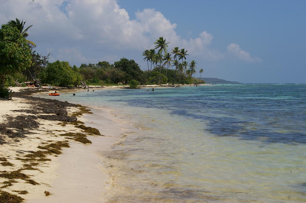 Kaz Creole Aventure Tropicale Insolite, Fibre, Jardin Et Jacuzzi Prives サン・フランソワ エクステリア 写真