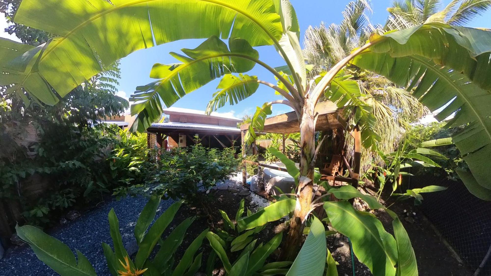 Kaz Creole Aventure Tropicale Insolite, Fibre, Jardin Et Jacuzzi Prives サン・フランソワ エクステリア 写真