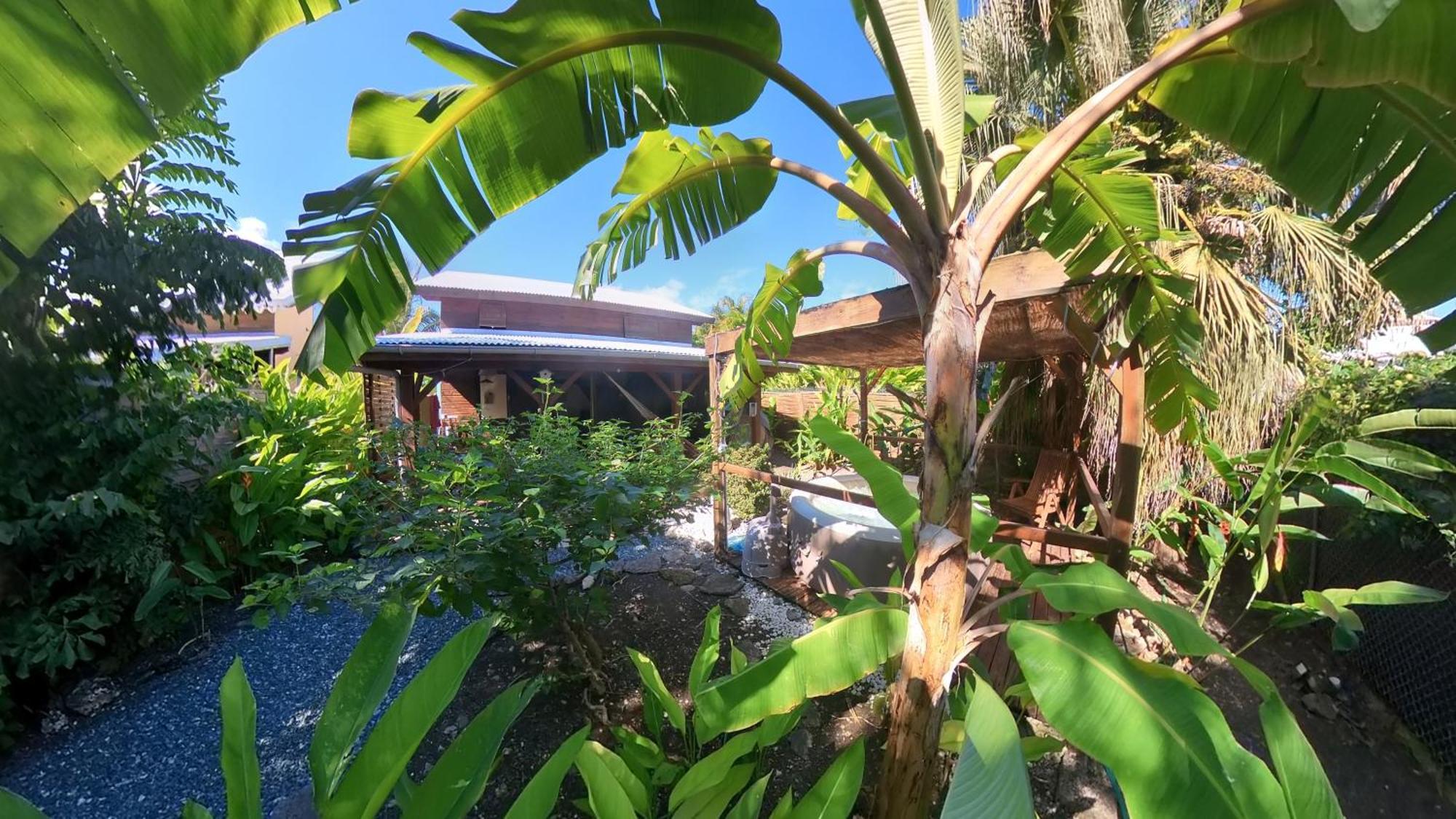 Kaz Creole Aventure Tropicale Insolite, Fibre, Jardin Et Jacuzzi Prives サン・フランソワ エクステリア 写真